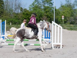 IMG_0512_web